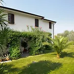 Alesi