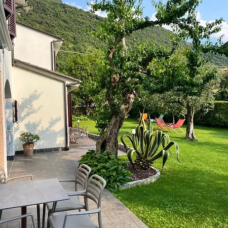 Alesi Malcesine