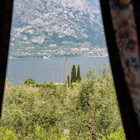 Alesi Malcesine